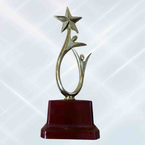 Shining Achievement Award (1pcs)