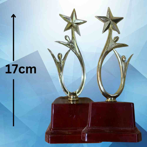 Shining Achievement Award (12pcs)