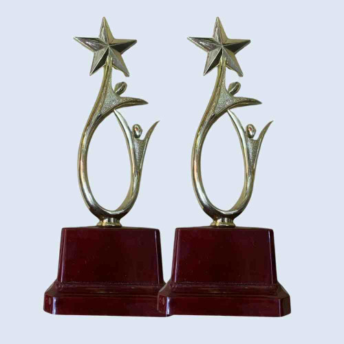 Shining Achievement Award (12pcs)