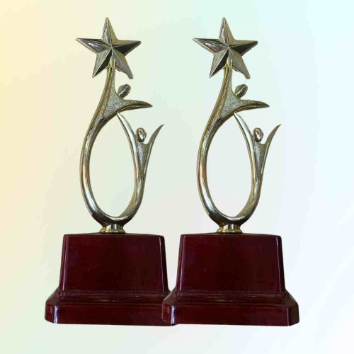 Shining Achievement Award (12pcs)