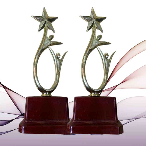 Shining Achievement Award (12pcs)