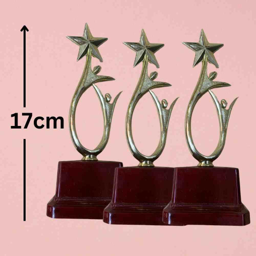 Shining Achievement Award (72pcs)