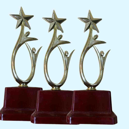 Shining Achievement Award (72pcs)