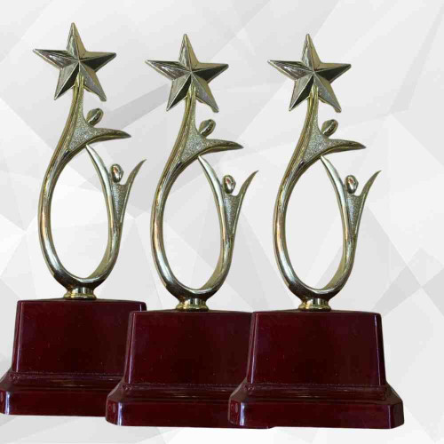 Shining Achievement Award (72pcs)