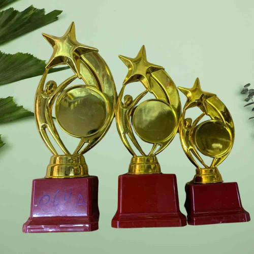 Star Performer Trophy Set (1set)