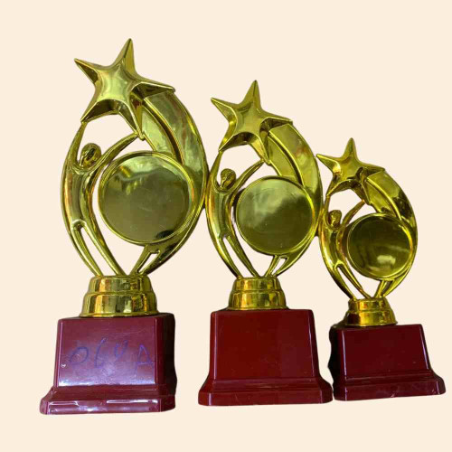 Star Performer Trophy Set (1set)