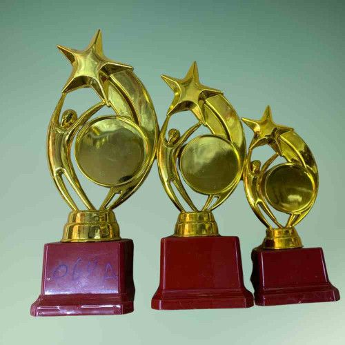 Star Performer Trophy Set (6set)