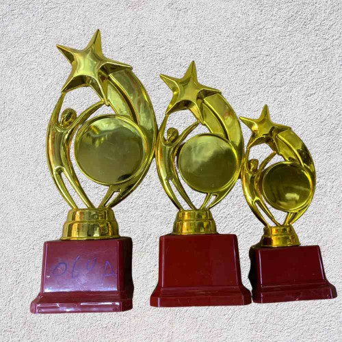 Star Performer Trophy Set (6set)