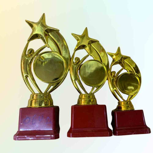 Star Performer Trophy Set (6set)