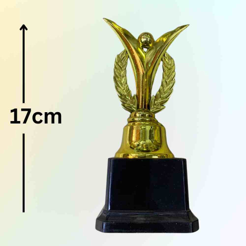 Iron Man Award (1pcs)