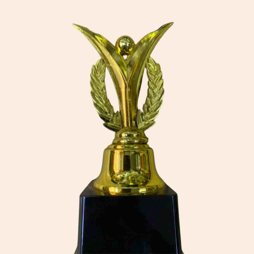 Iron Man Award (1pcs)