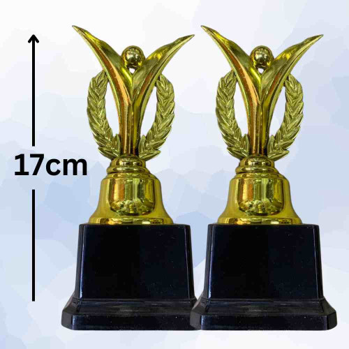 Iron Man Award (24pcs)