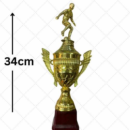 Top Performer Trophy (1pcs)