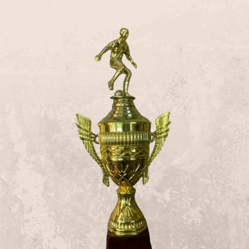 Top Performer Trophy (1pcs)