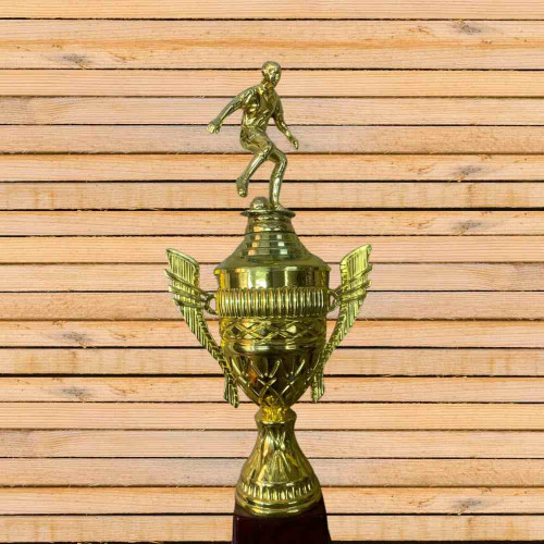 Top Performer Trophy (1pcs)