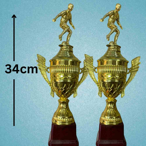 Top Performer Trophy (12pcs)