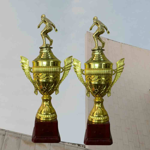 Top Performer Trophy (12pcs)