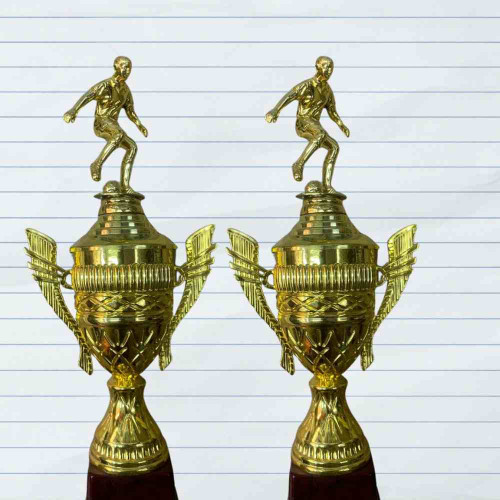 Top Performer Trophy (12pcs)