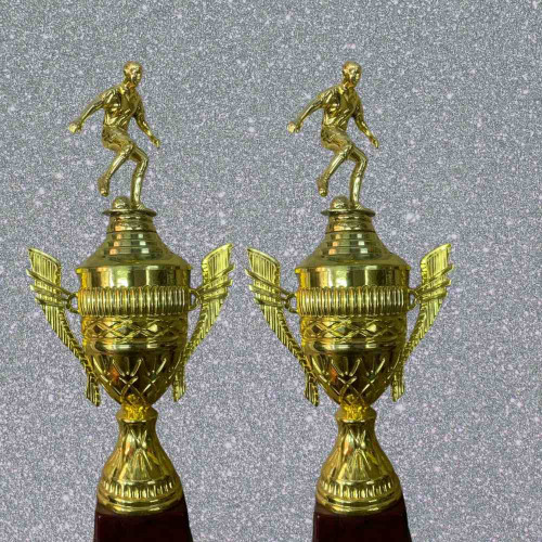 Top Performer Trophy (12pcs)