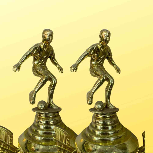 Top Performer Trophy (12pcs)