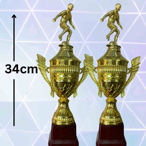 Top Performer Trophy (12pcs)