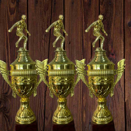 Top Performer Trophy (24pcs)