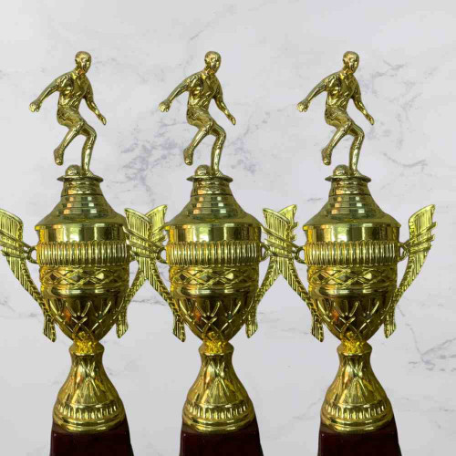 Top Performer Trophy (24pcs)