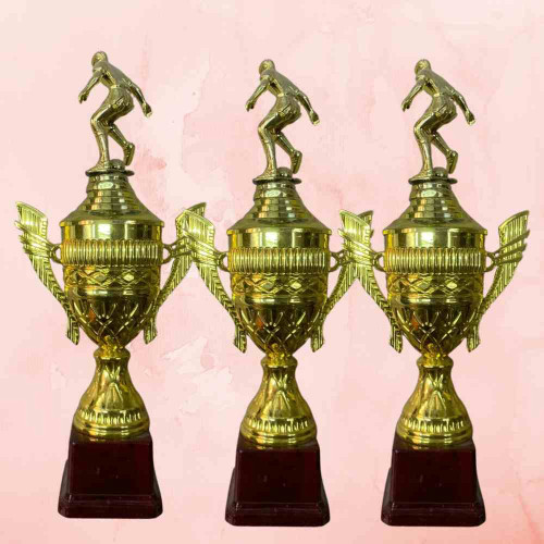 Top Performer Trophy (24pcs)