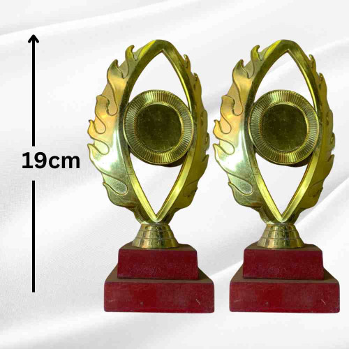 Burning Flame Trophy (12pcs)