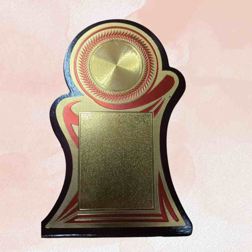 Achievement Award (1pcs)