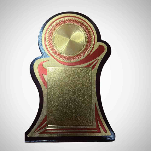 Achievement Award (1pcs)