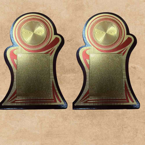 Achievement Award (12pcs)