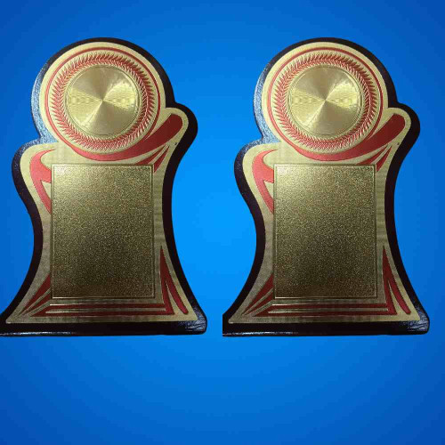 Achievement Award (12pcs)