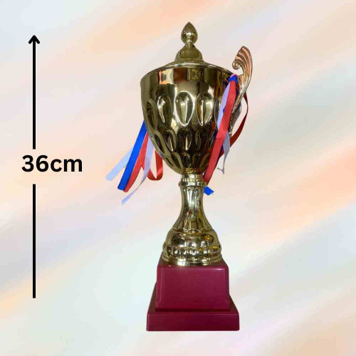 Crown Golden Trophy (1pcs)