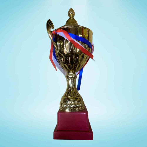 Crown Golden Trophy (1pcs)