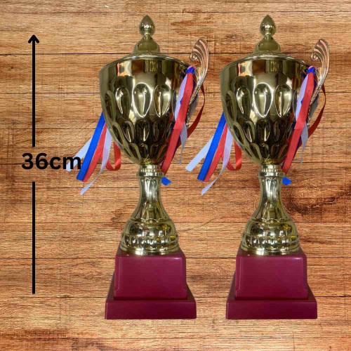 Crown Golden Trophy (12pcs)