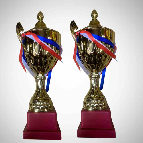 Crown Golden Trophy (12pcs)