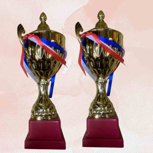 Crown Golden Trophy (12pcs)