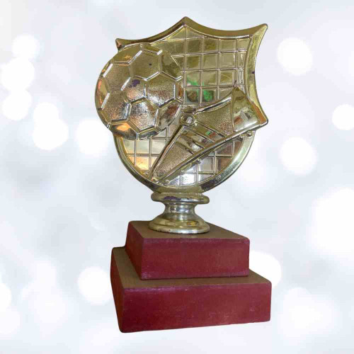 Golden Goal Shield Trophy (1pcs)