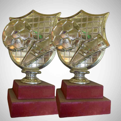 Golden Goal Shield Trophy (12pcs)