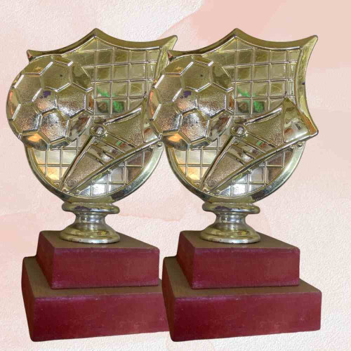 Golden Goal Shield Trophy (12pcs)