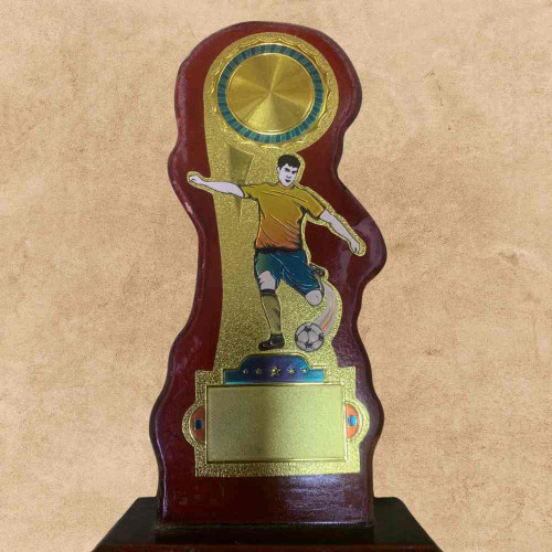 Champions Stride Award (1pcs)