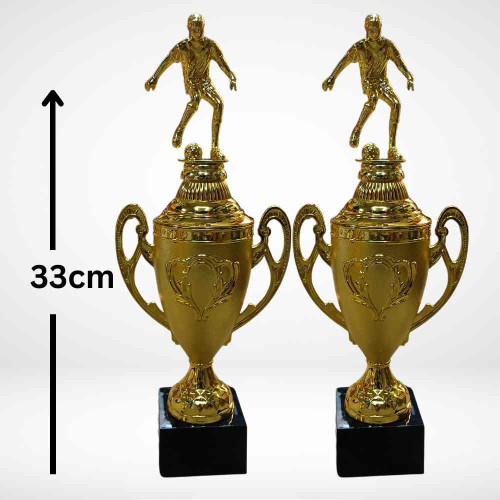 Golden Pinnacle Award (12pcs)