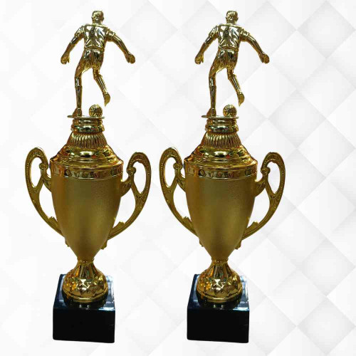 Golden Pinnacle Award (12pcs)