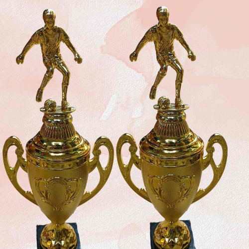 Golden Pinnacle Award (12pcs)