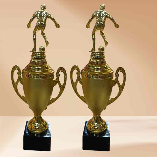 Golden Pinnacle Award (12pcs)