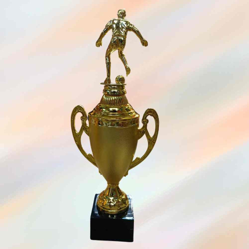 Golden Pinnacle Award (1pcs)