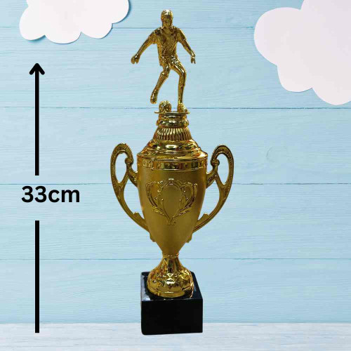 Golden Pinnacle Award (1pcs)