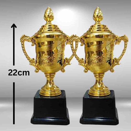 Crown of Distinction Medium Trophy (12pcs)