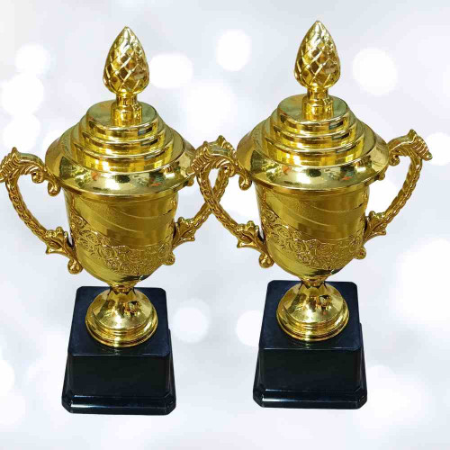 Crown of Distinction Medium Trophy (12pcs)